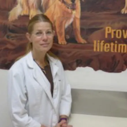 Dr. Karen Peyser at Channel Islands Veterinary Hospital / Las Posas Veterinary Medical Center